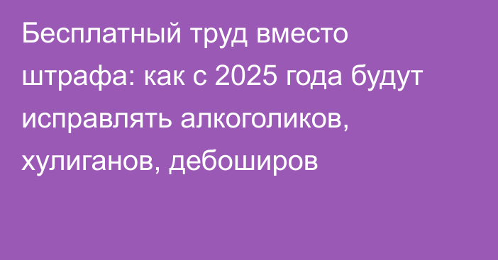 Бесплатный труд вместо штрафа: как с 2025 года будут исправлять алкоголиков, хулиганов, дебоширов