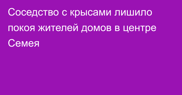 Соседство с крысами лишило покоя жителей домов в центре Семея