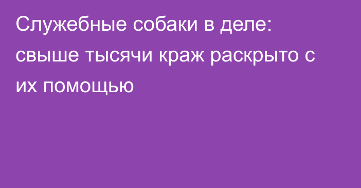 Служебные собаки в деле: свыше тысячи краж раскрыто с их помощью