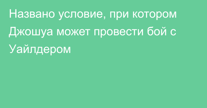 Названо условие, при котором Джошуа может провести бой с Уайлдером