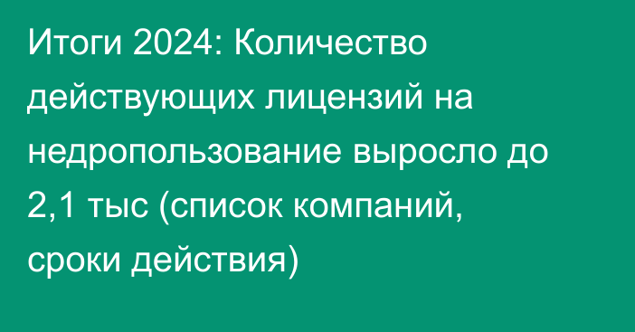 Итоги 2024: Количество действующих лицензий на недропользование выросло до 2,1 тыс (список компаний, сроки действия)