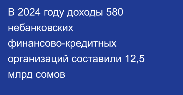 В 2024 году доходы 580 небанковских финансово-кредитных организаций составили 12,5 млрд сомов