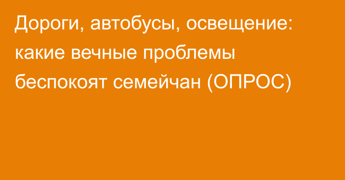 Дороги, автобусы, освещение: какие вечные проблемы беспокоят семейчан (ОПРОС)