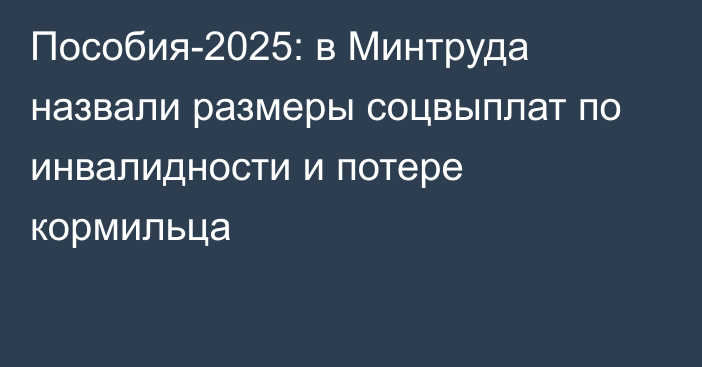 Пособия-2025: в Минтруда назвали размеры соцвыплат по инвалидности и потере кормильца