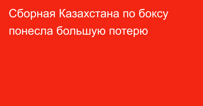 Сборная Казахстана по боксу понесла большую потерю