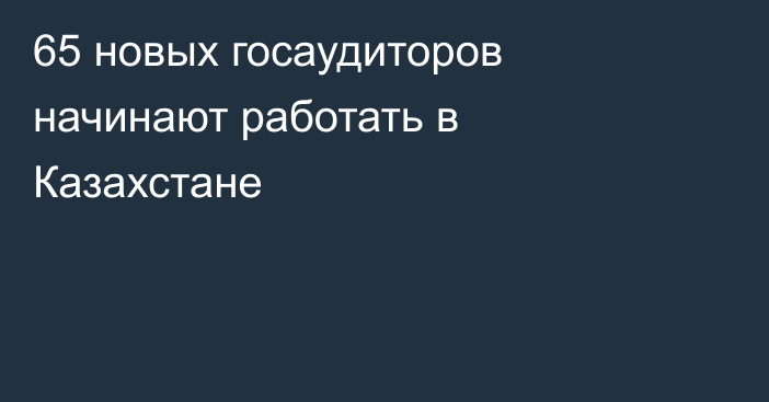 65 новых госаудиторов начинают работать в Казахстане