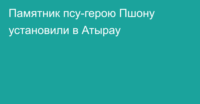 Памятник псу-герою Пшону установили в Атырау