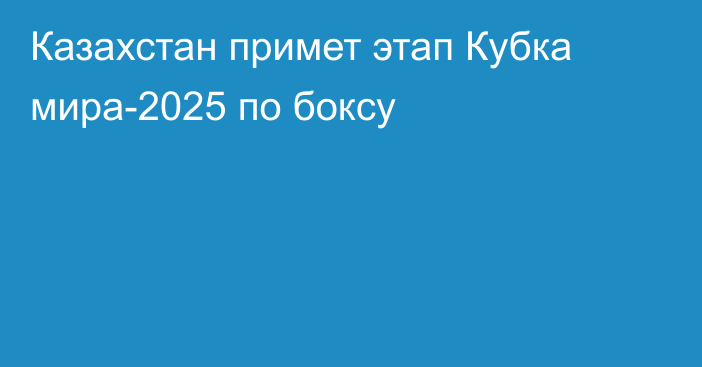 Казахстан примет этап Кубка мира-2025 по боксу