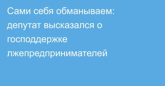 Сами себя обманываем: депутат высказался о господдержке лжепредпринимателей