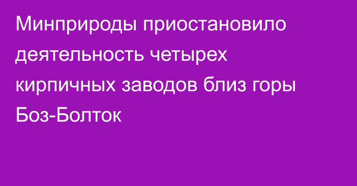 Минприроды приостановило деятельность четырех кирпичных заводов близ горы Боз-Болток