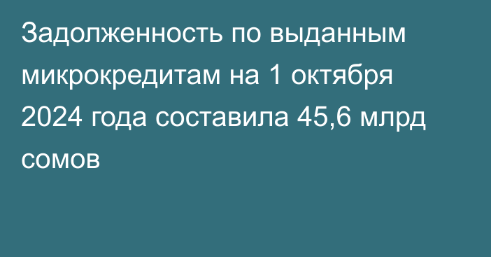 Задолженность по выданным микрокредитам на 1 октября 2024 года составила 45,6 млрд сомов