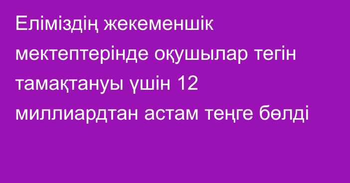 Еліміздің жекеменшік мектептерінде оқушылар тегін тамақтануы үшін 12 миллиардтан астам теңге бөлді