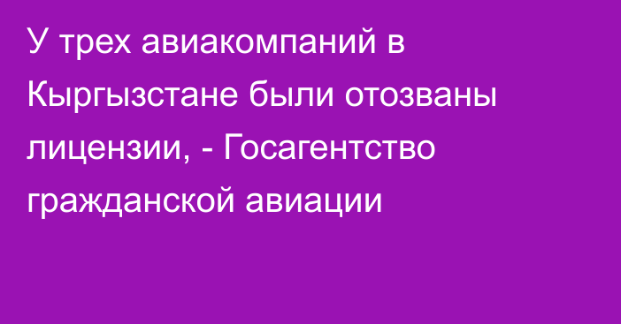 У трех авиакомпаний в Кыргызстане были отозваны лицензии, -  Госагентство гражданской авиации