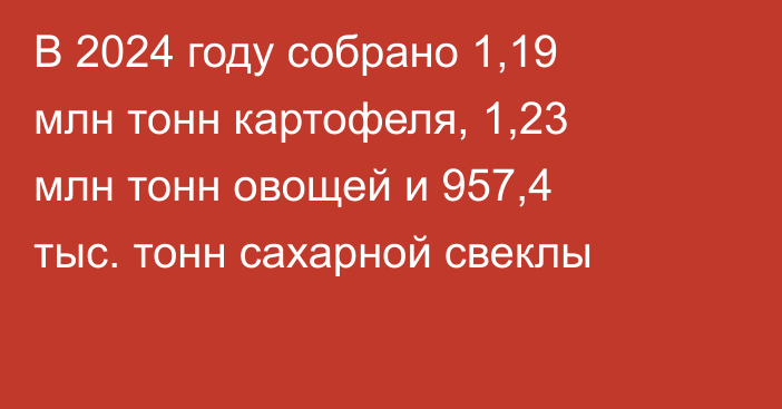 В 2024 году собрано 1,19 млн тонн картофеля, 1,23 млн тонн овощей и 957,4 тыс. тонн сахарной свеклы