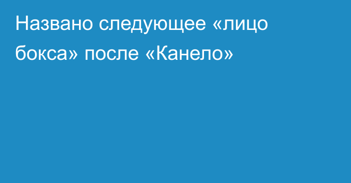 Названо следующее «лицо бокса» после «Канело»