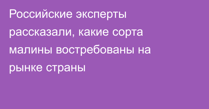 Российские эксперты рассказали, какие сорта малины востребованы на рынке страны