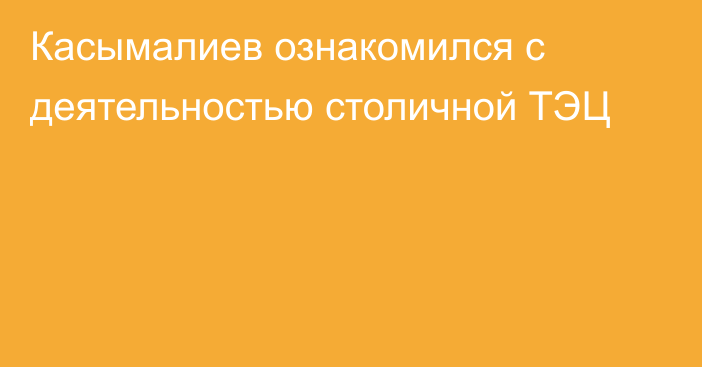 Касымалиев ознакомился с деятельностью столичной ТЭЦ