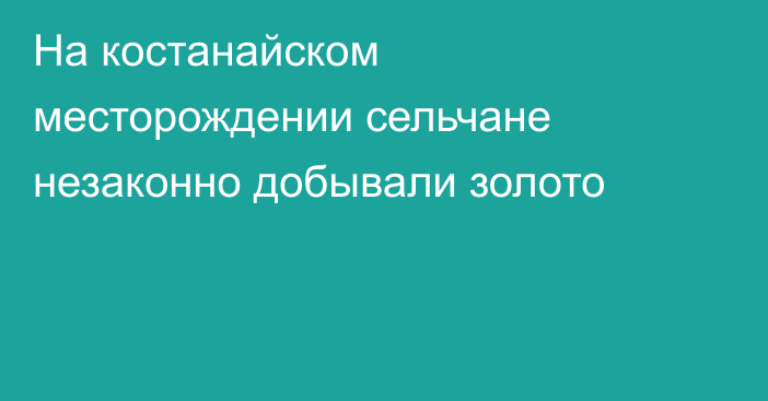 На костанайском месторождении сельчане незаконно добывали золото