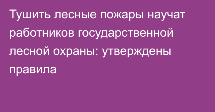 Тушить лесные пожары научат работников государственной лесной охраны: утверждены правила